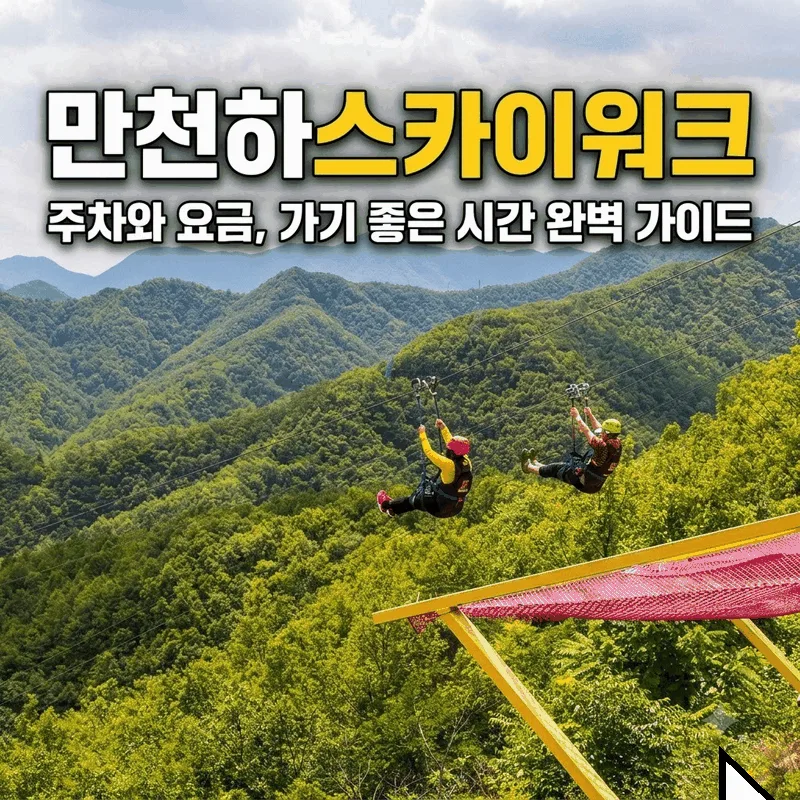 만천하스카이워크 주차와 요금, 가기 좋은 시간 완벽 가이드