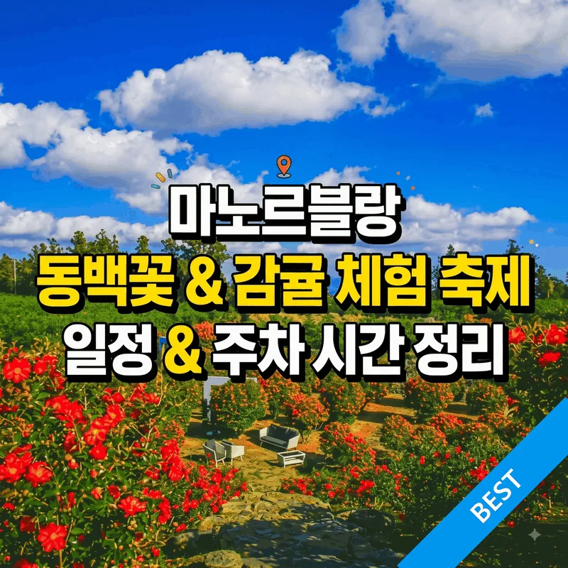 마노르블랑 동백꽃 감귤체험 축제 일정 주차 시간 총정리