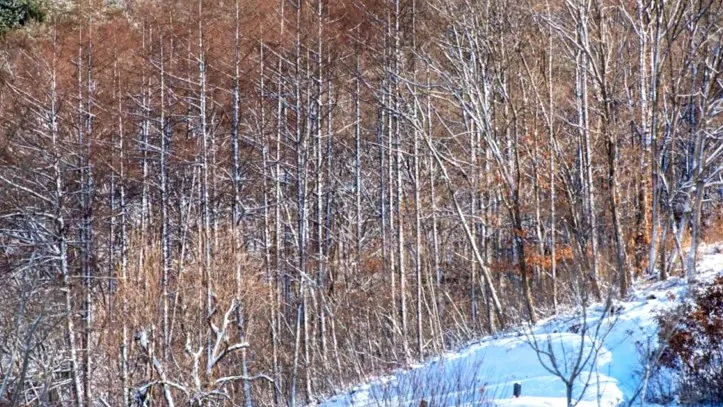 만뢰산 / 사진=충청북도 공식 블로그