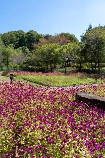 만뢰산자연생태공원