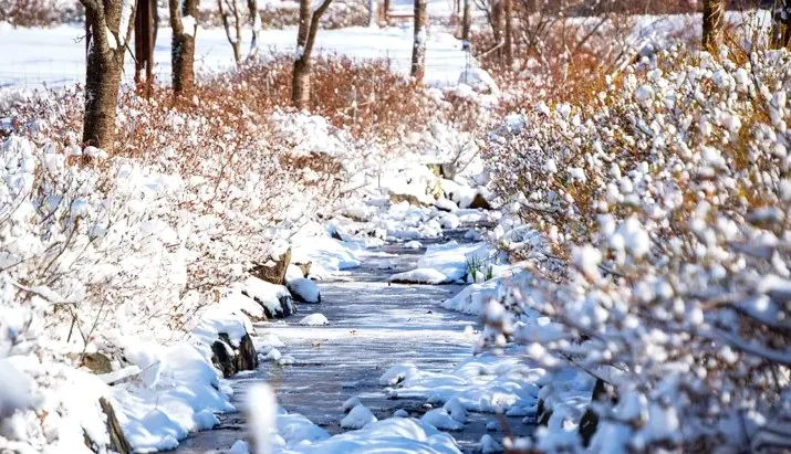 만뢰산자연생태공원 설경 / 사진=충청북도 공식 블로그