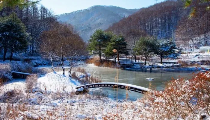 만뢰산자연생태공원 연못 / 사진=충청북도 공식 블로그