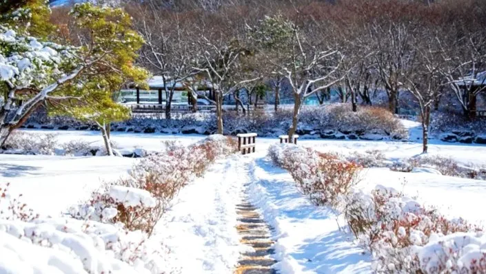 만뢰산자연생태공원 산책로 / 사진=충청북도 공식 블로그