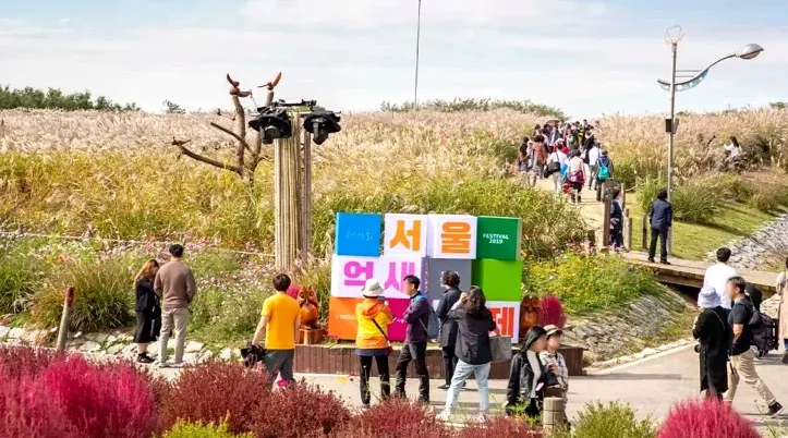 지난 서울억새축제 / 사진=한국관광공사 이범수