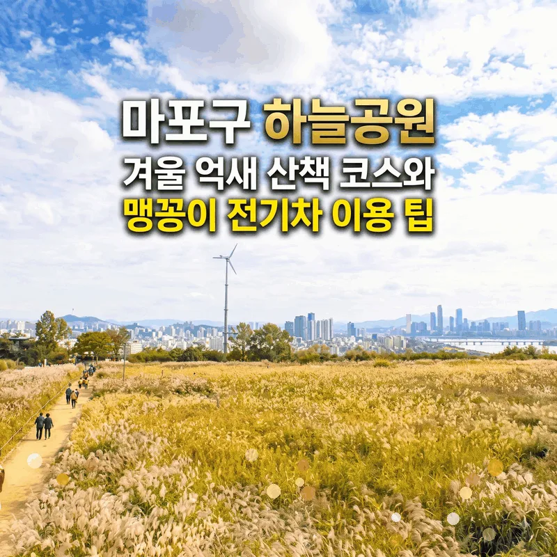 마포구 하늘공원 겨울 억새 산책 코스와 맹꽁이 전기차 이용 팁
