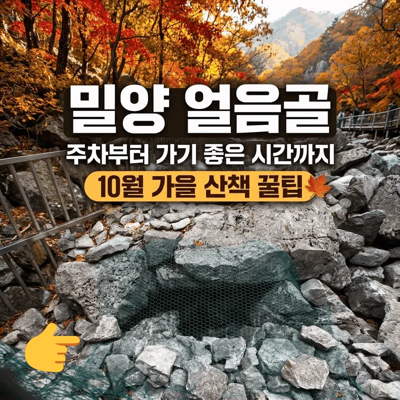 밀양 얼음골 주차부터 가기 좋은 시간까지 10월 가을 산책 꿀팁