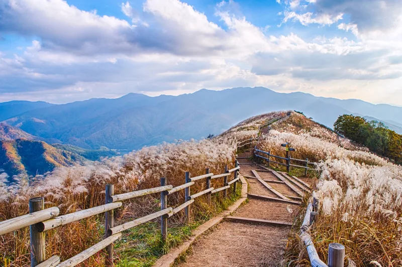 민둥산