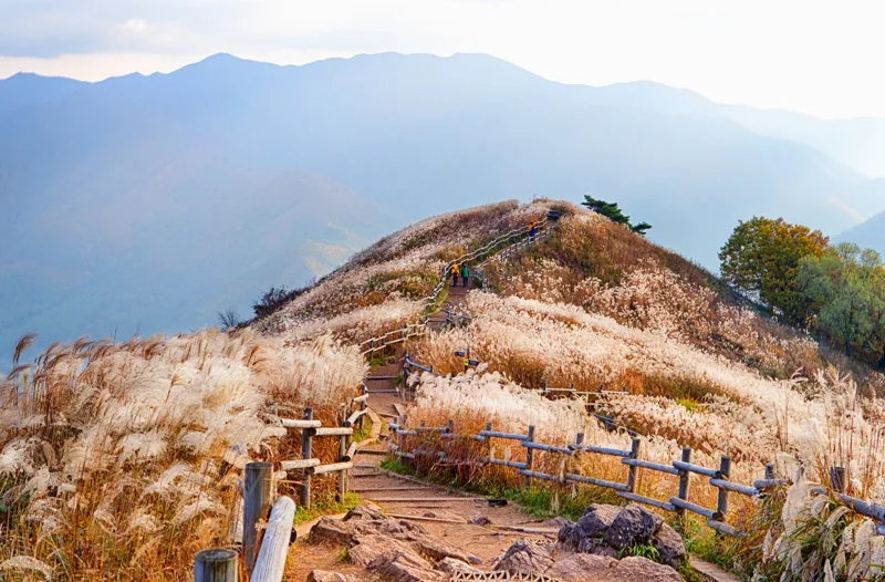 민둥산