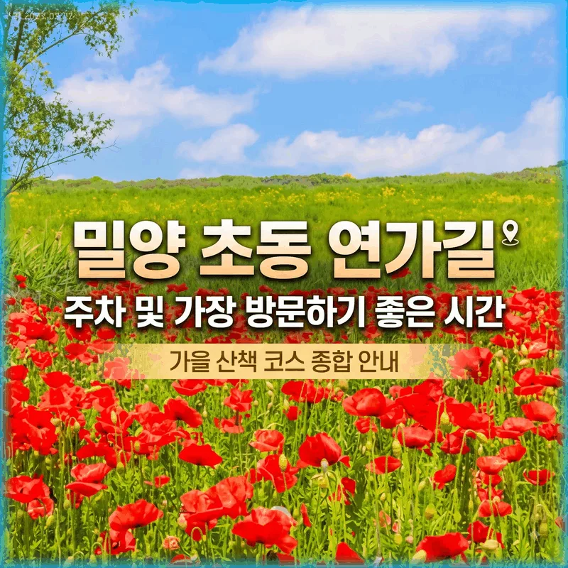 밀양 초동 연가길 주차와 가기 좋은 시간, 가을 산책 코스 총정리