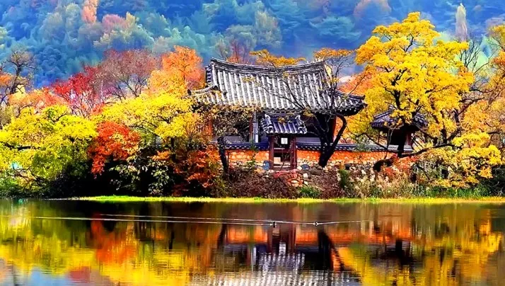 완재정 / 사진=밀양시 문화관광