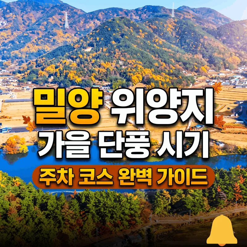 밀양 위양지 가을 단풍 시기 주차 코스 완벽 가이드