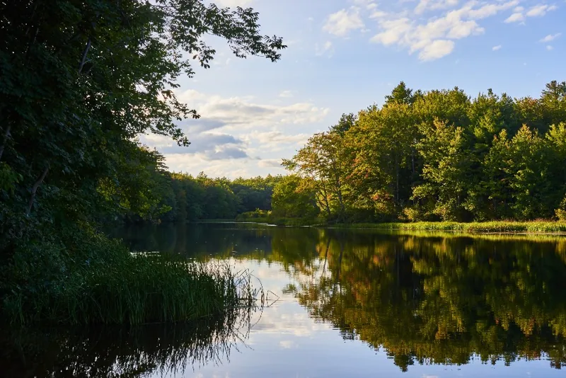 Lake Reflection