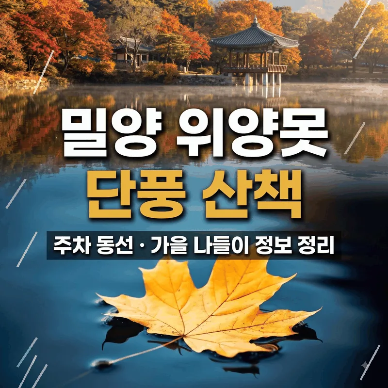 밀양 위양못 단풍 산책 주차 동선 가을 나들이 정보 정리