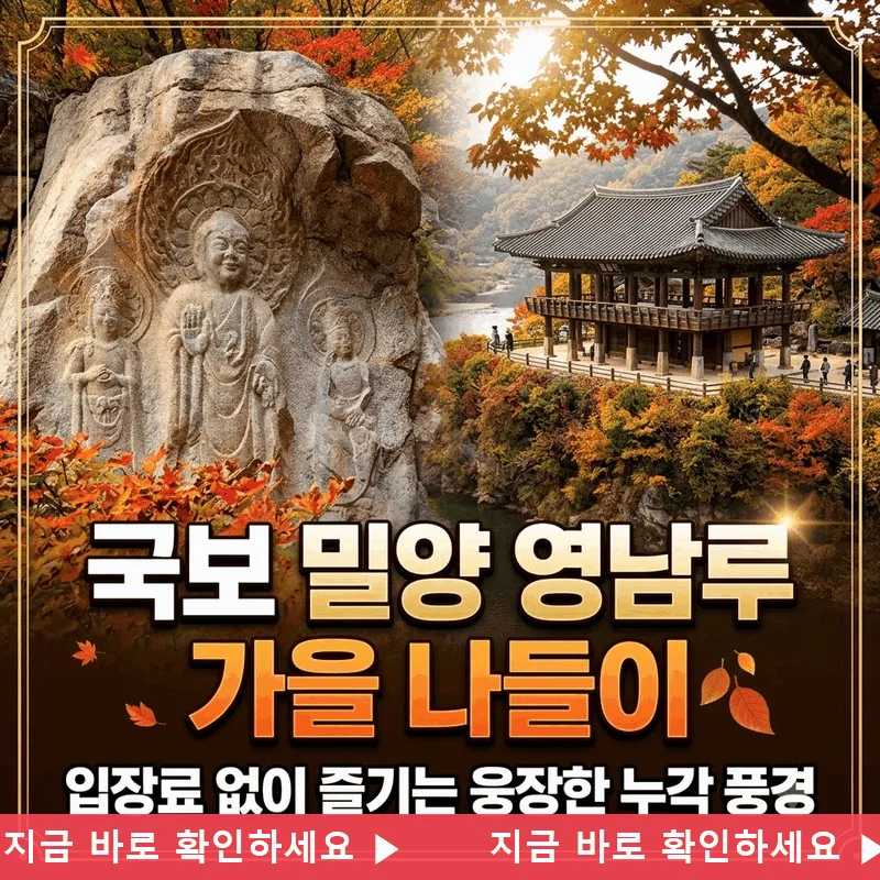 국보 밀양 영남루 가을 나들이, 입장료 없이 즐기는 웅장한 누각 풍경
