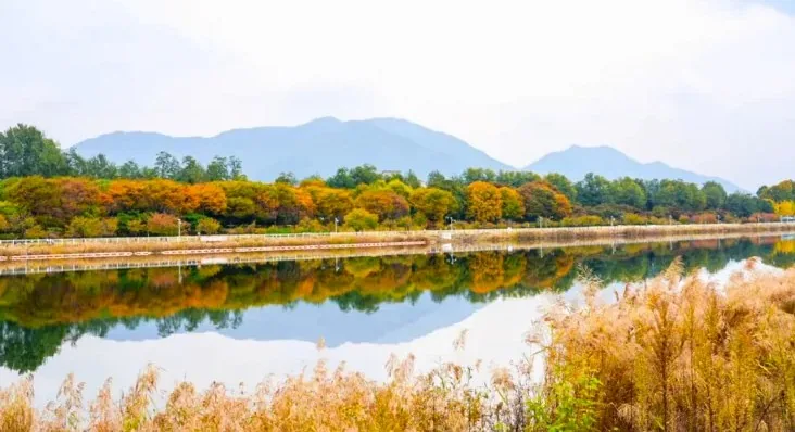 호수와 단풍 / 사진=하남시 공식 블로그