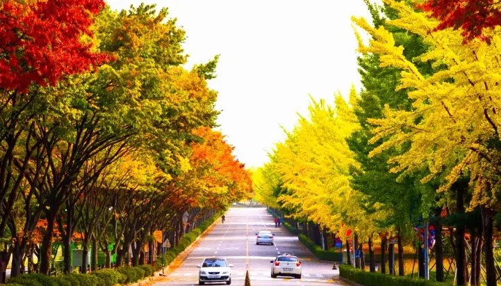 미사경정공원 단풍 / 사진=미사경정공원