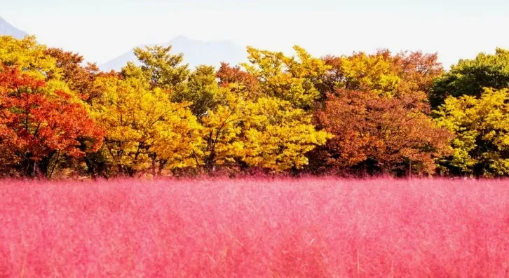 미사경정공원 풍경 / 사진=게티이미지뱅크