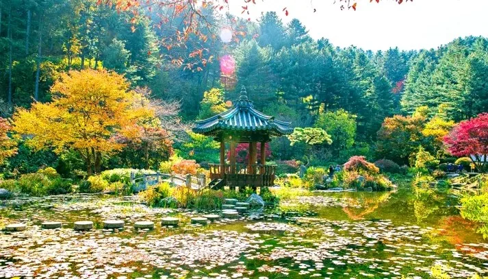 아침고요수목원 풍경 / 사진=아침고요수목원