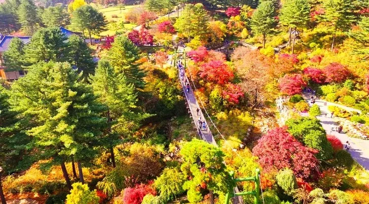 아침고요수목원 항공뷰 / 사진=아침고요수목원