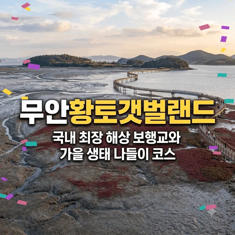 무안황토갯벌랜드 국내 최장 해상 보행교와 가을 생태 나들이 코스