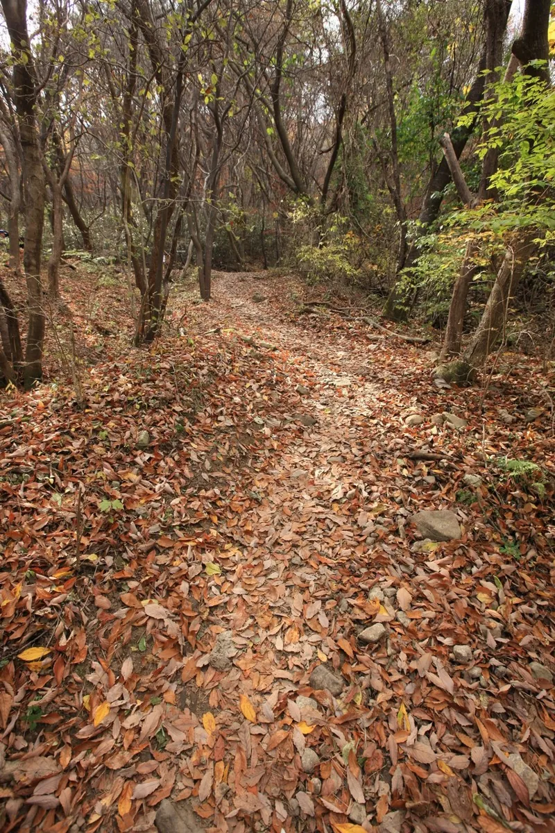 무등산