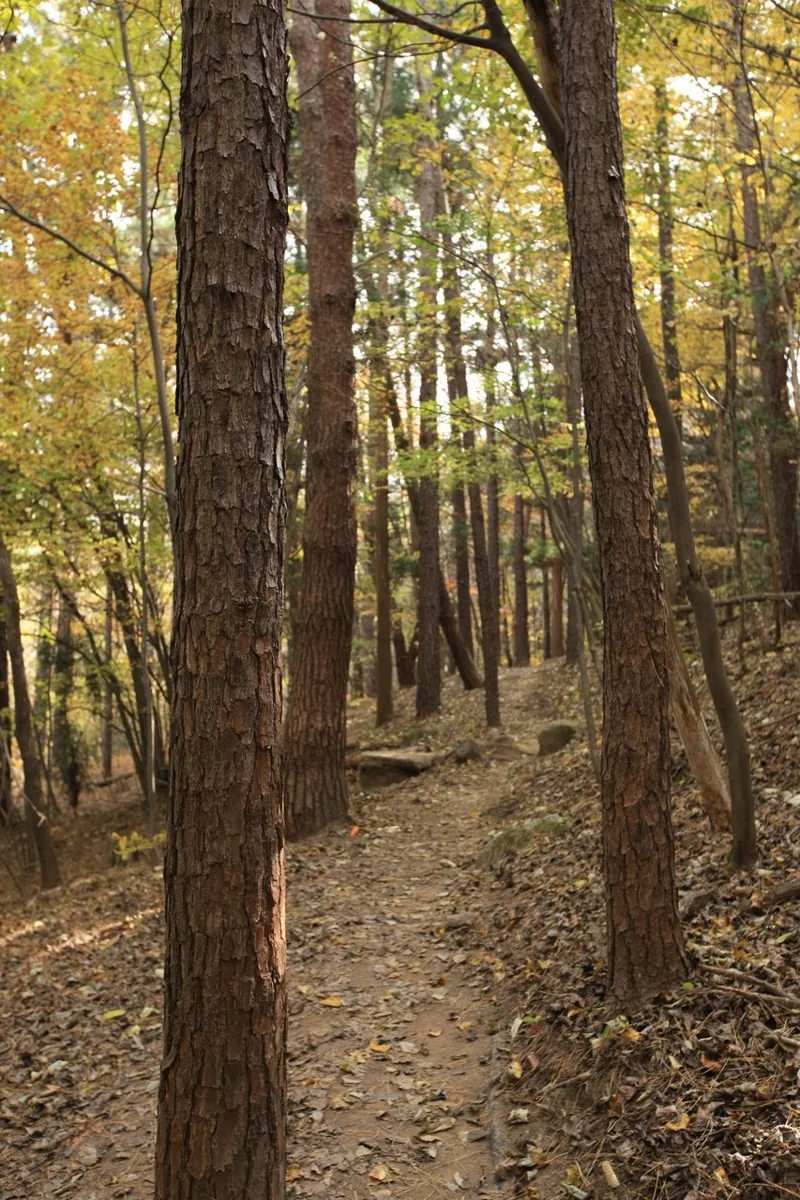무등산