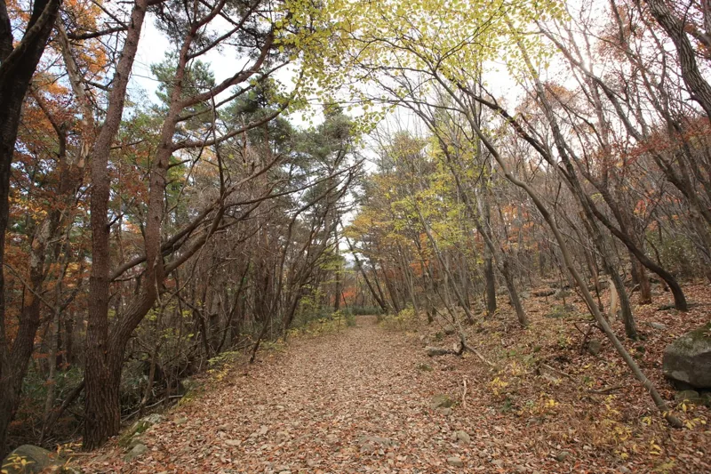 무등산