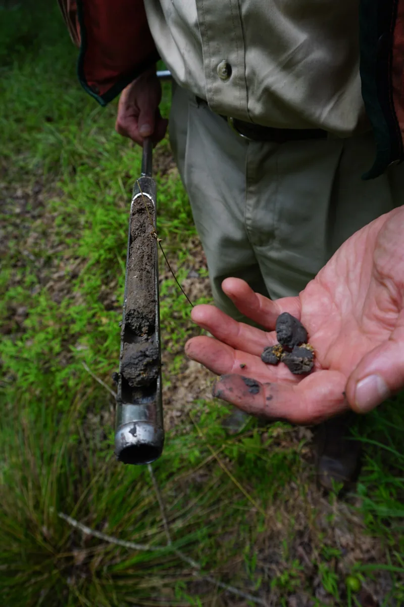 Soil wetland Morrow Mountain SP ncwetlands KG