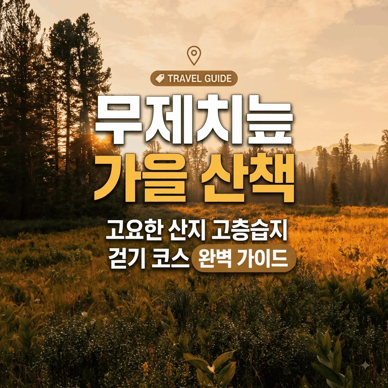 무제치늪 가을 산책, 고요한 산지 고층습지 걷기 코스 완벽 가이드