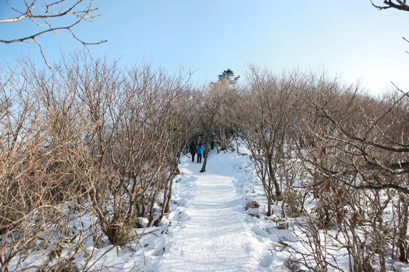덕유산 국립공원