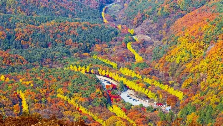적상산 가을 전경 / 사진=게티이미지뱅크