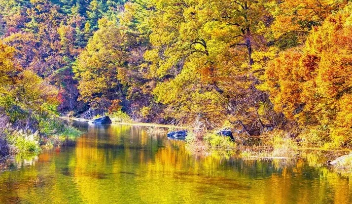 차로 오르는 950m 무주 적상산 단풍 드라이브 코스 가이드