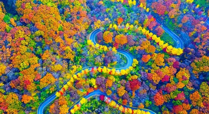 무주 적상산 드라이브길 항공샷 / 사진=게티이미지뱅크