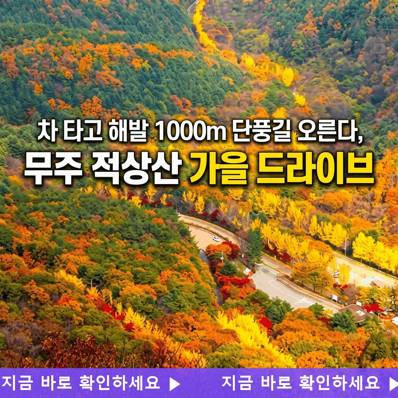 차 타고 해발 1000m 단풍길 오른다, 무주 적상산 가을 드라이브