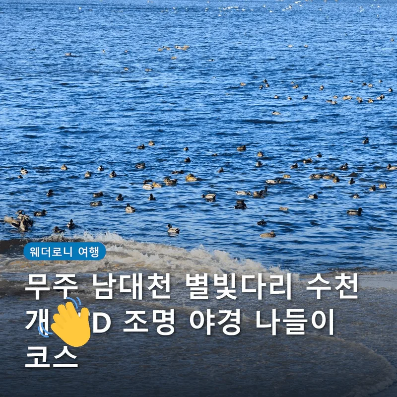 무주 남대천 별빛다리 수천 개 LED 조명 야경 나들이 코스