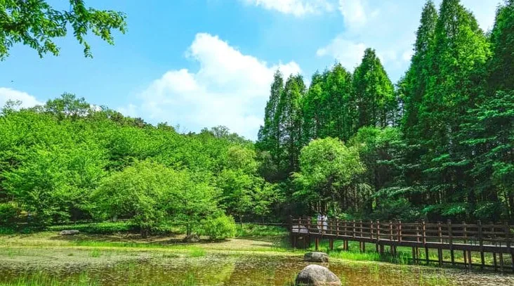 오산 물향기수목원 전경 / 사진=게티이미지뱅크