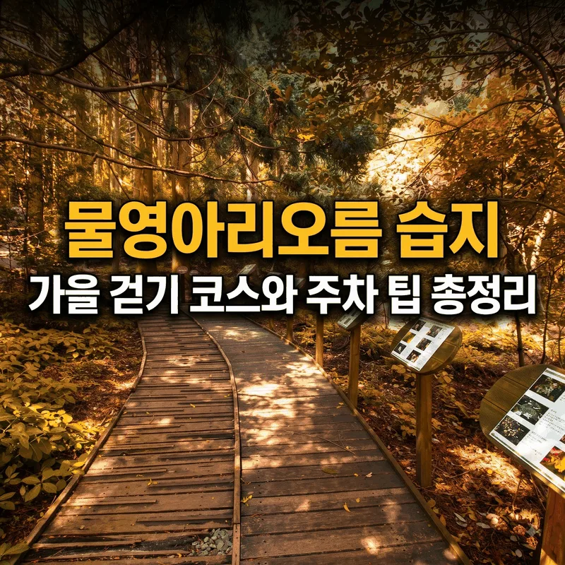 물영아리오름 습지 가을 걷기 코스와 주차 팁 총정리