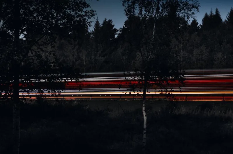 Trees Road