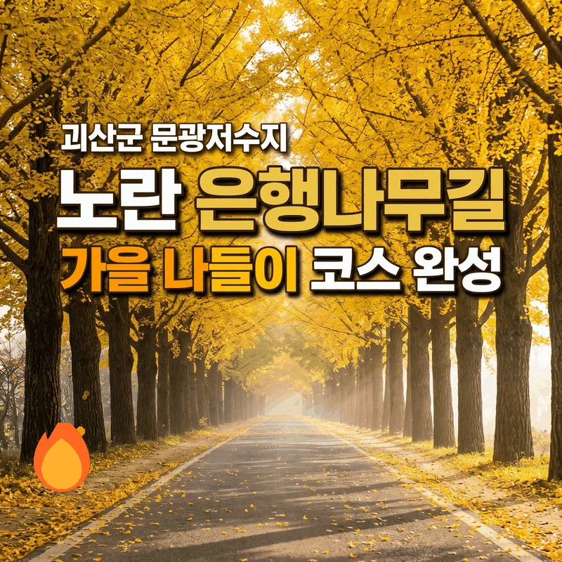 괴산군 문광저수지 노란 은행나무길 가을 나들이 코스 완성