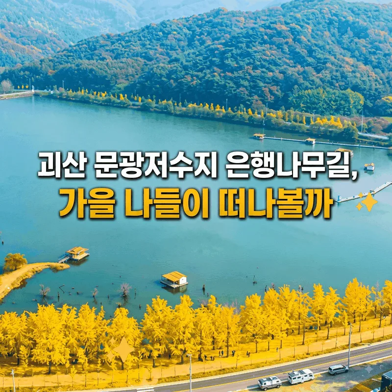 괴산 문광저수지 은행나무길, 가을 나들이 떠나볼까