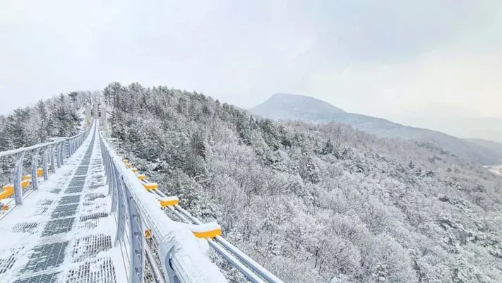 봉명산 출렁다리 풍경 / 사진=문경시청 공식 블로그 임동환