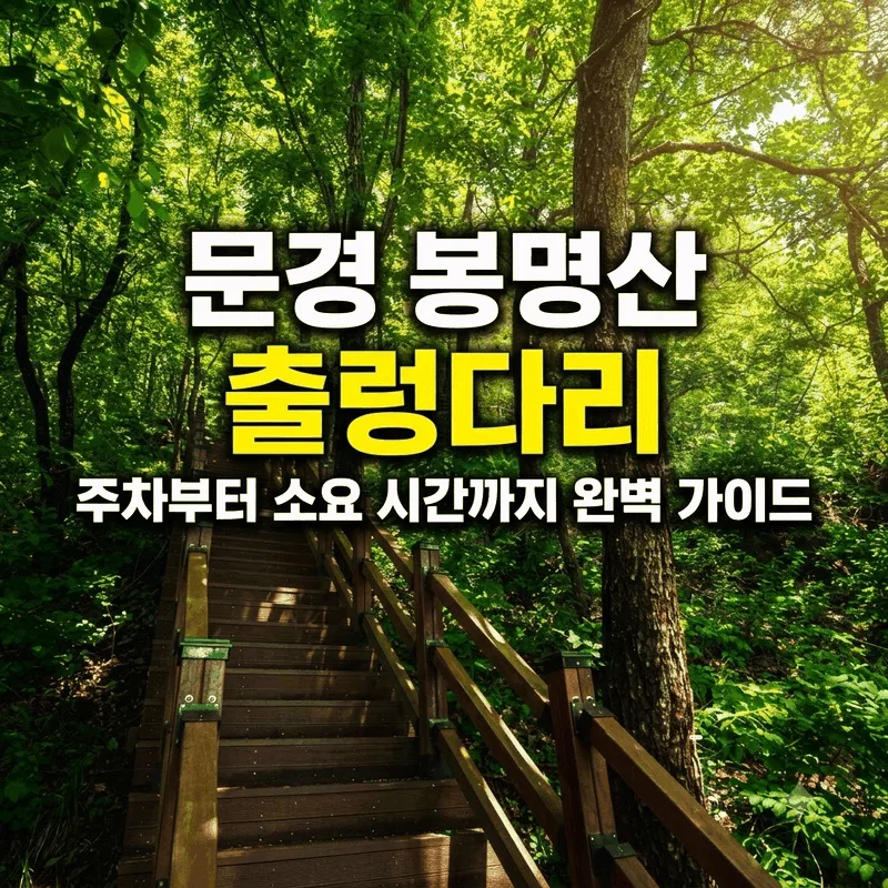 문경 봉명산 출렁다리 주차부터 소요 시간까지 완벽 가이드