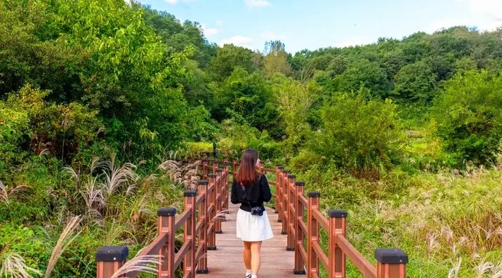 문경 돌리네습지 생태길 / 사진=경북나드리