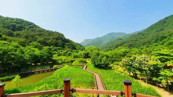 전망대에서 보는 풍경 / 사진=문경시 문화관광