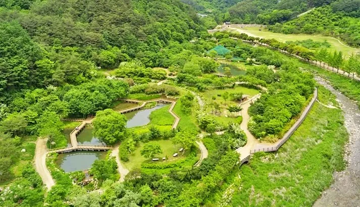 문경생태미로공원 모습 / 사진=문경시 문화관광