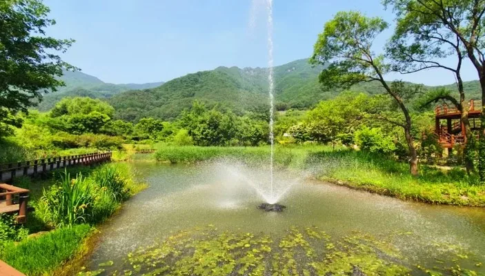 문경생태미로공원 풍경 / 사진=문경시 문화관광