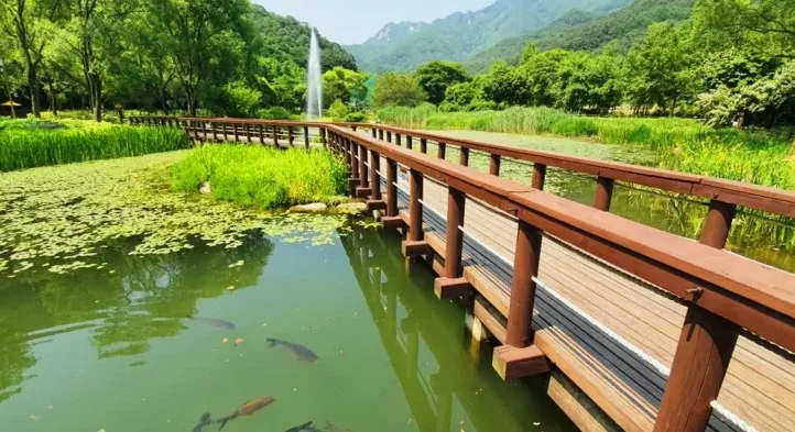 문경생태미로공원 / 사진=문경시 문화관광