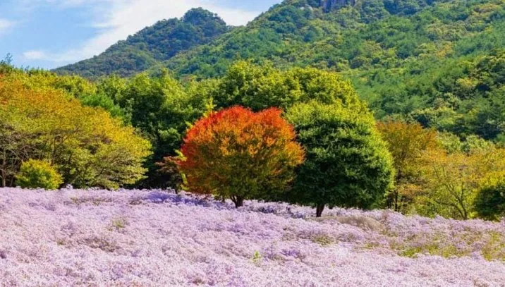문희농원 전경 / 사진=한국관광공사 박장용