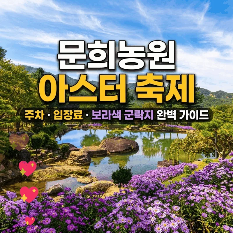 문희농원 개미취축제 주차와 입장료 보랏빛 군락 완벽 가이드