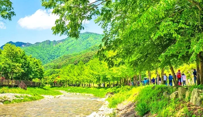 문경새재도립공원 계곡 / 사진=ⓒ한국관광공사 김지호